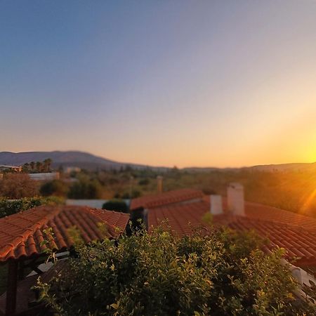 New Olivka House Βίλα Ανάβυσσος Εξωτερικό φωτογραφία